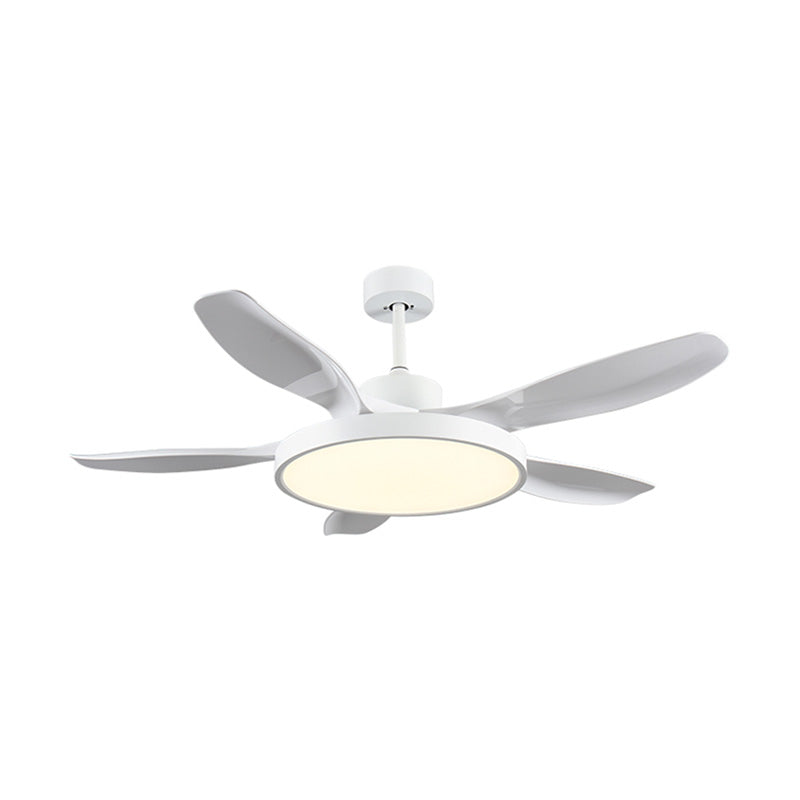 WOW 5 Blade Large Ceiling Fan Lamp-wow5074