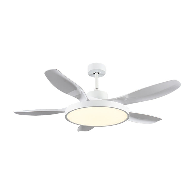 WOW 5 Blade Large Ceiling Fan Lamp-wow5074