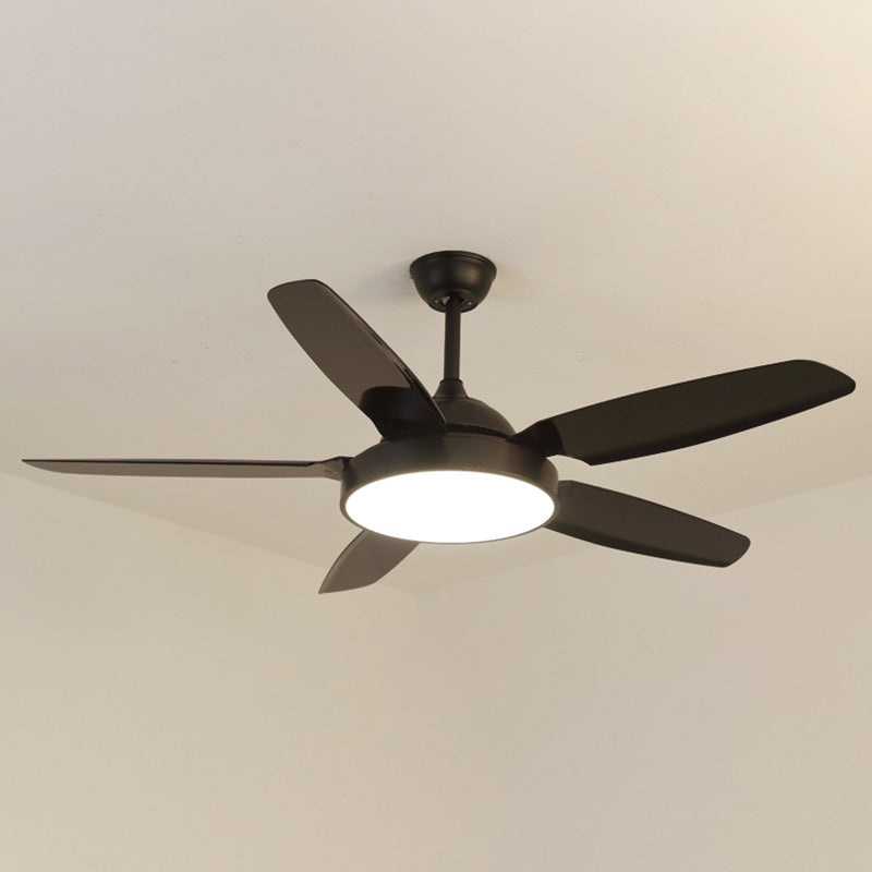 WOW 5 Blade Ceiling Fan Lamp-wow5101