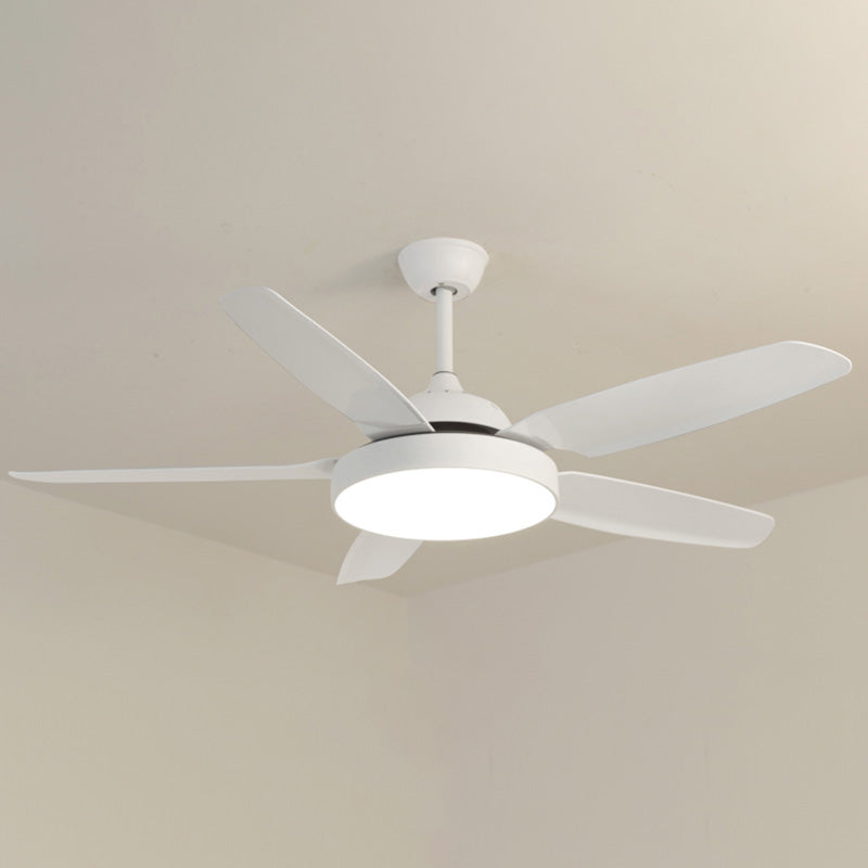 WOW 5 Blade Ceiling Fan Lamp-wow5101