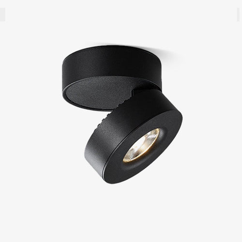 WOW Lyric Adjustable Surface Downlight