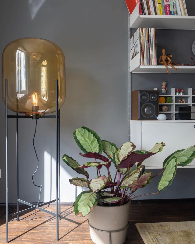 WOW Smoked Glass Lantern Floor Lamp-wow7015