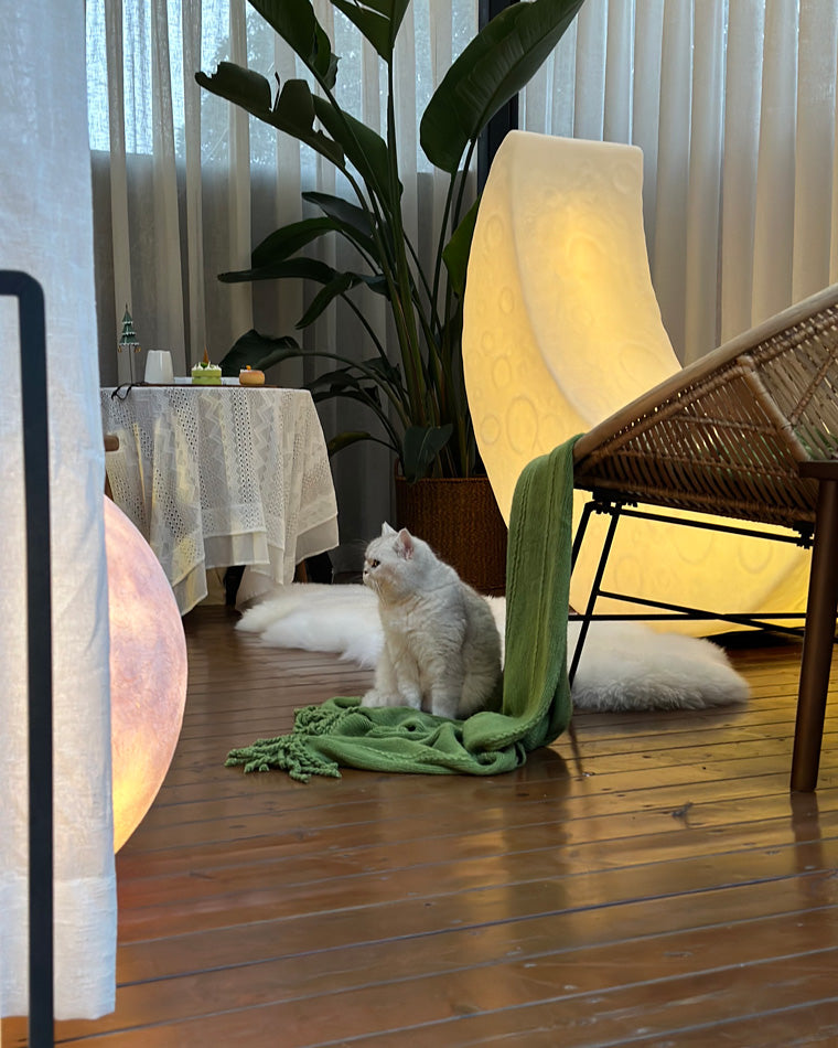 WOW Crescent Moon Floor Lamp-wow7021