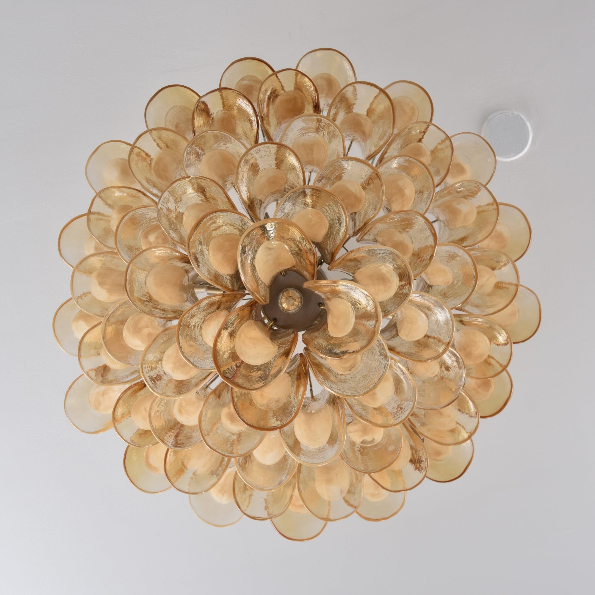 WOW Amber Petal Glass Gorgeous Ceiling Lamp-Wow5610