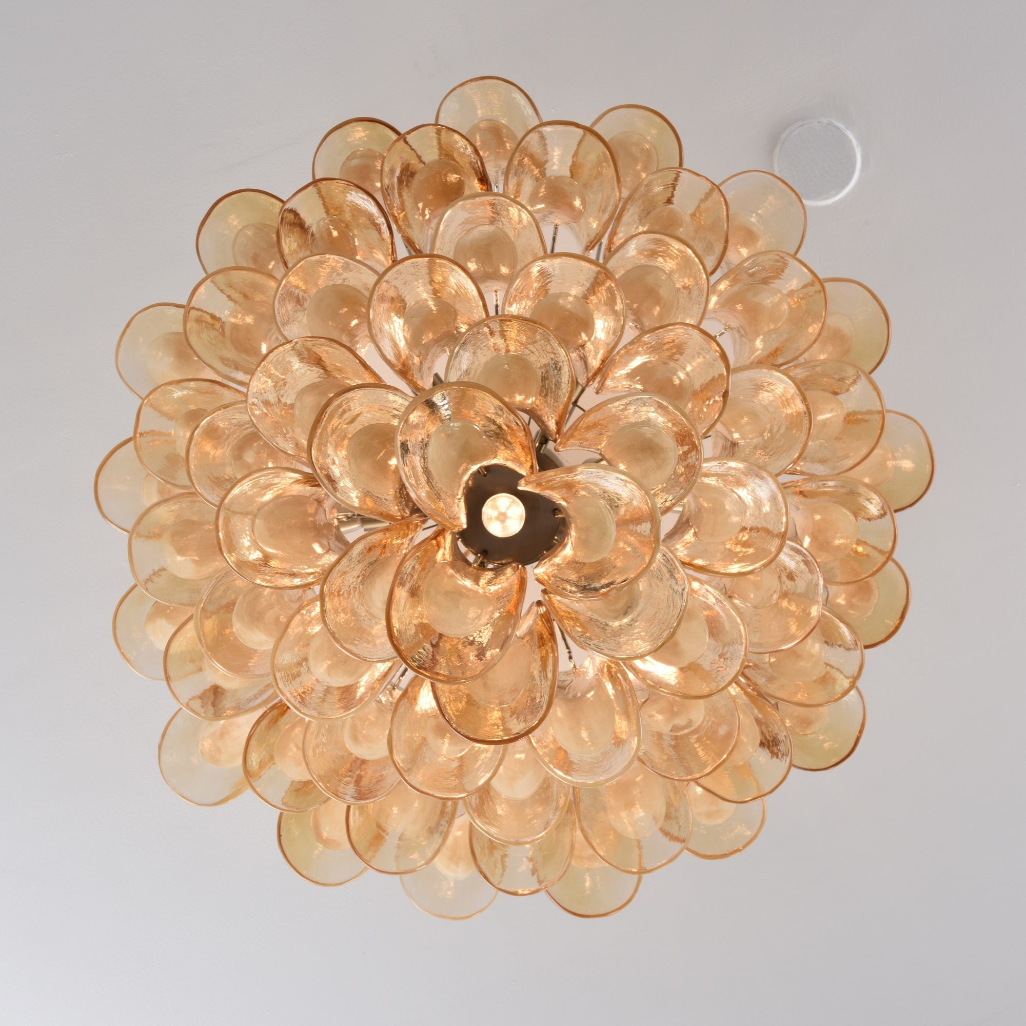WOW Amber Petal Glass Gorgeous Ceiling Lamp-Wow5610
