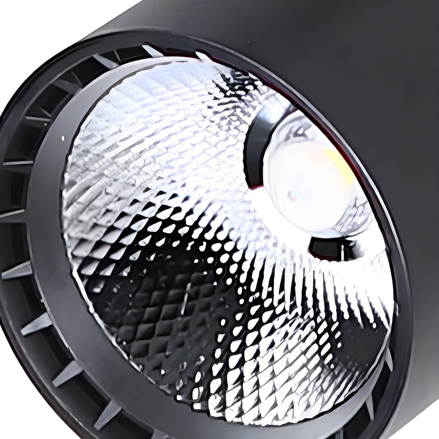 WOW Calla Beam Spotlight
