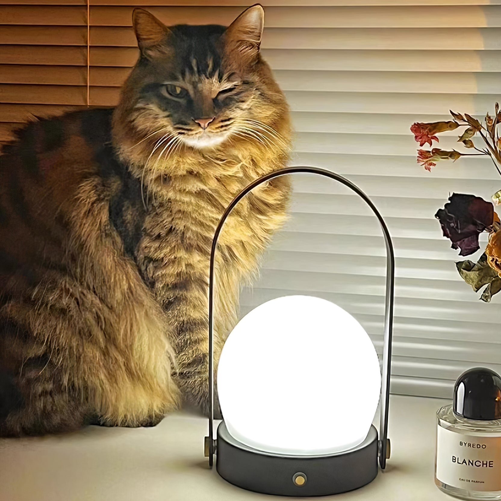WOW Carrie Built-in Battery Table Lamp