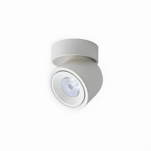 WOW Clara Rotating Surface Downlight