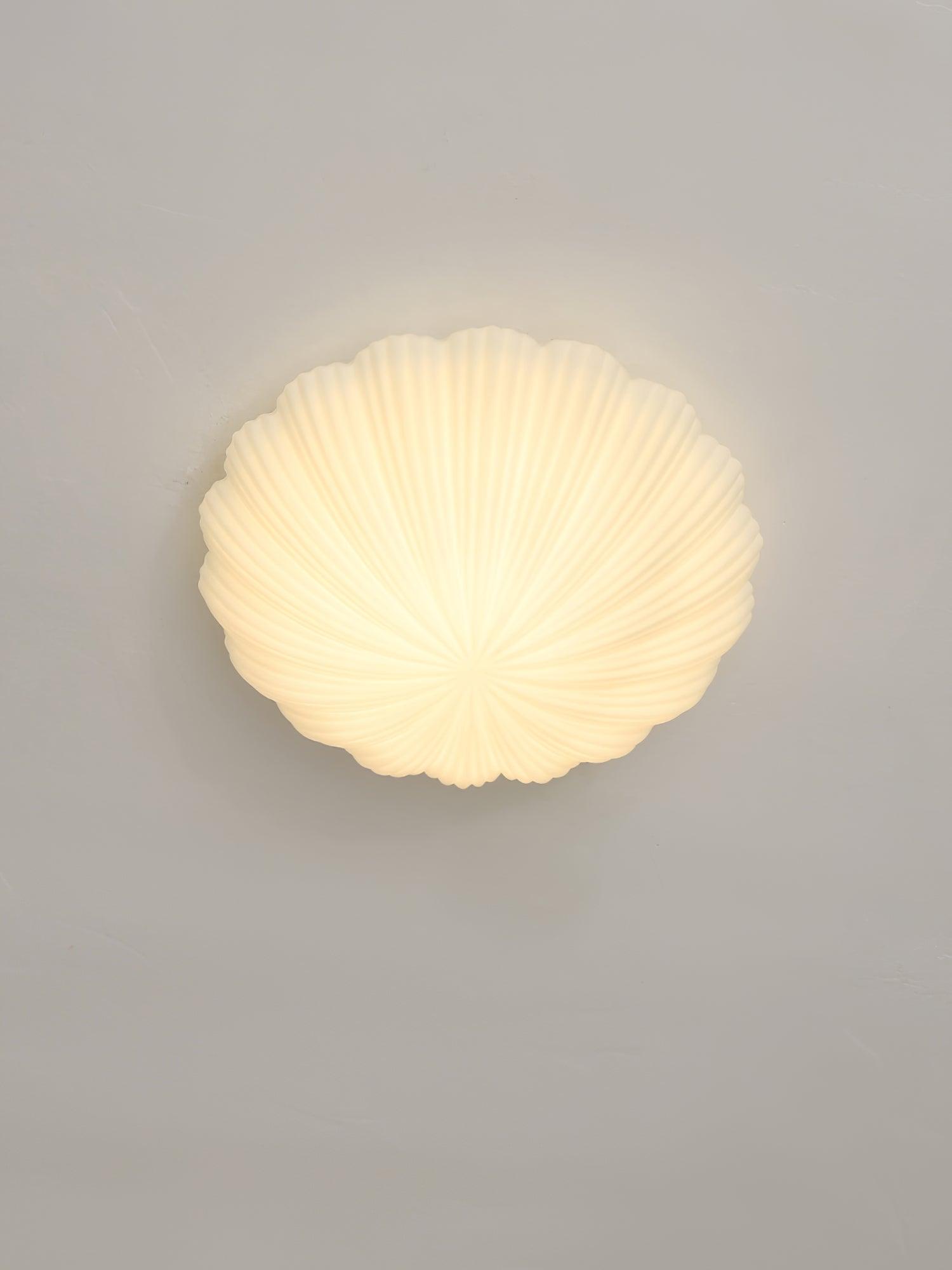 WOW Devan Seashell Ceiling Lamp