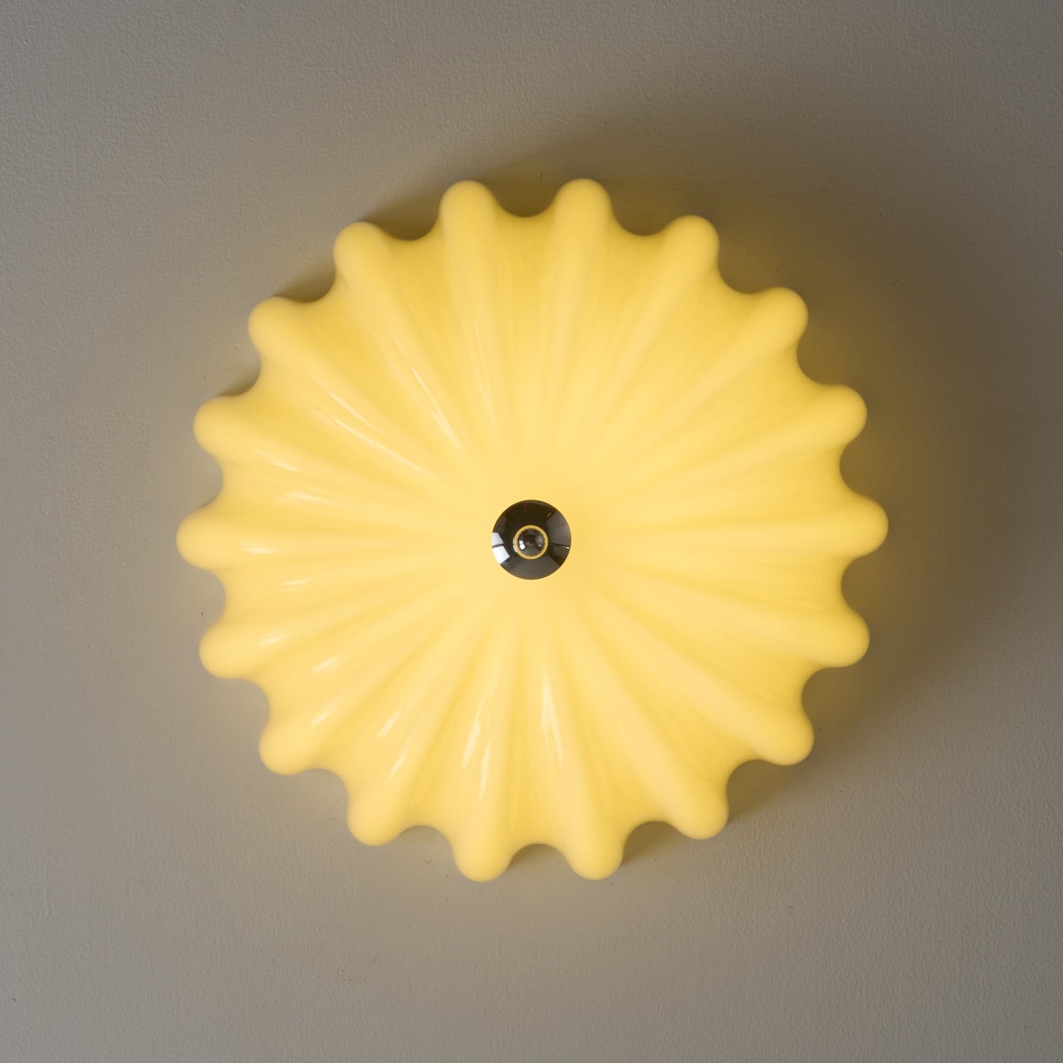 WOW Dewdrop Shell Ceiling Light