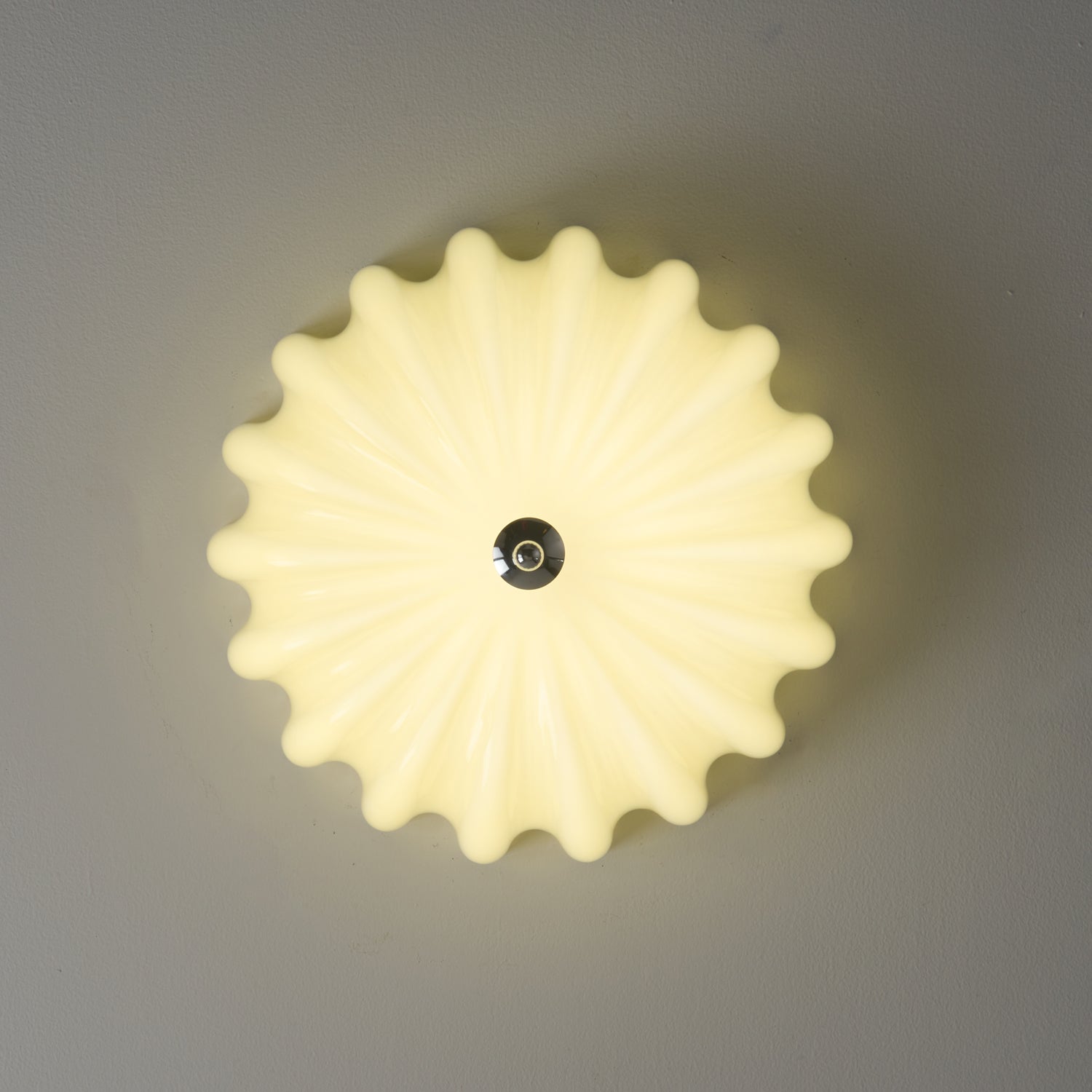 WOW Dewdrop Shell Ceiling Light