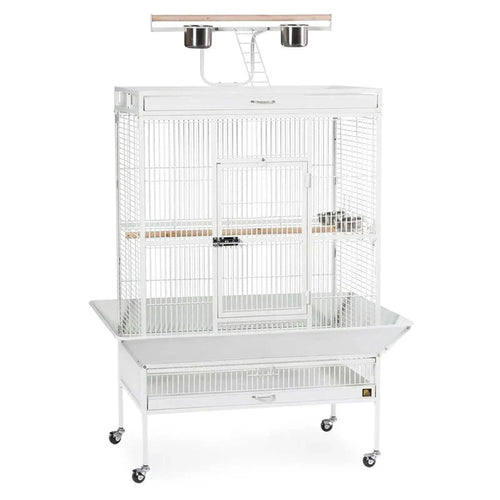 Wrought Iron Select Bird Cage 3154C, Chalk White, 36-Inch by 24-Inch by 66-Inch