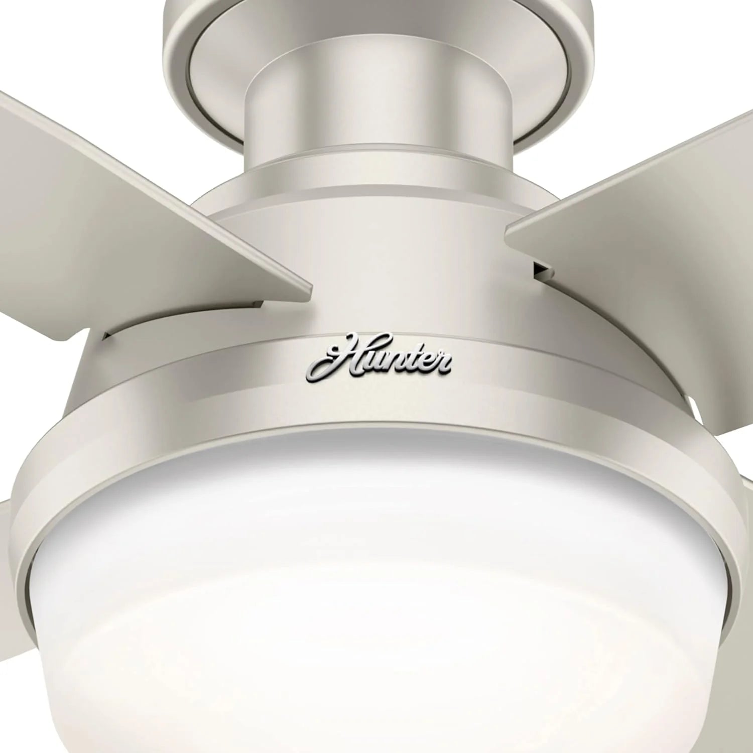 Hunter Fan Company Dempsey Low Profile Indoor / Outdoor Ceiling Fan with LED Light and Remote Control, 44