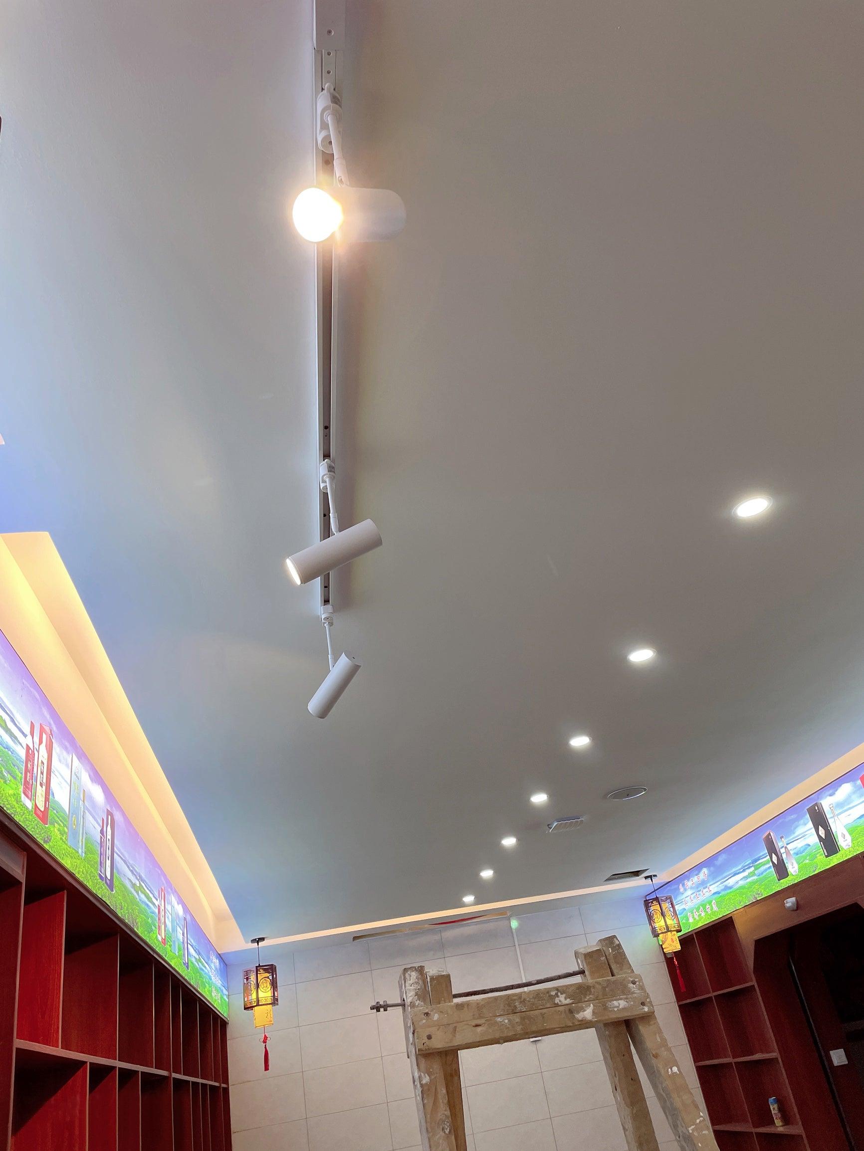 WOW Flatspot Ceiling Light