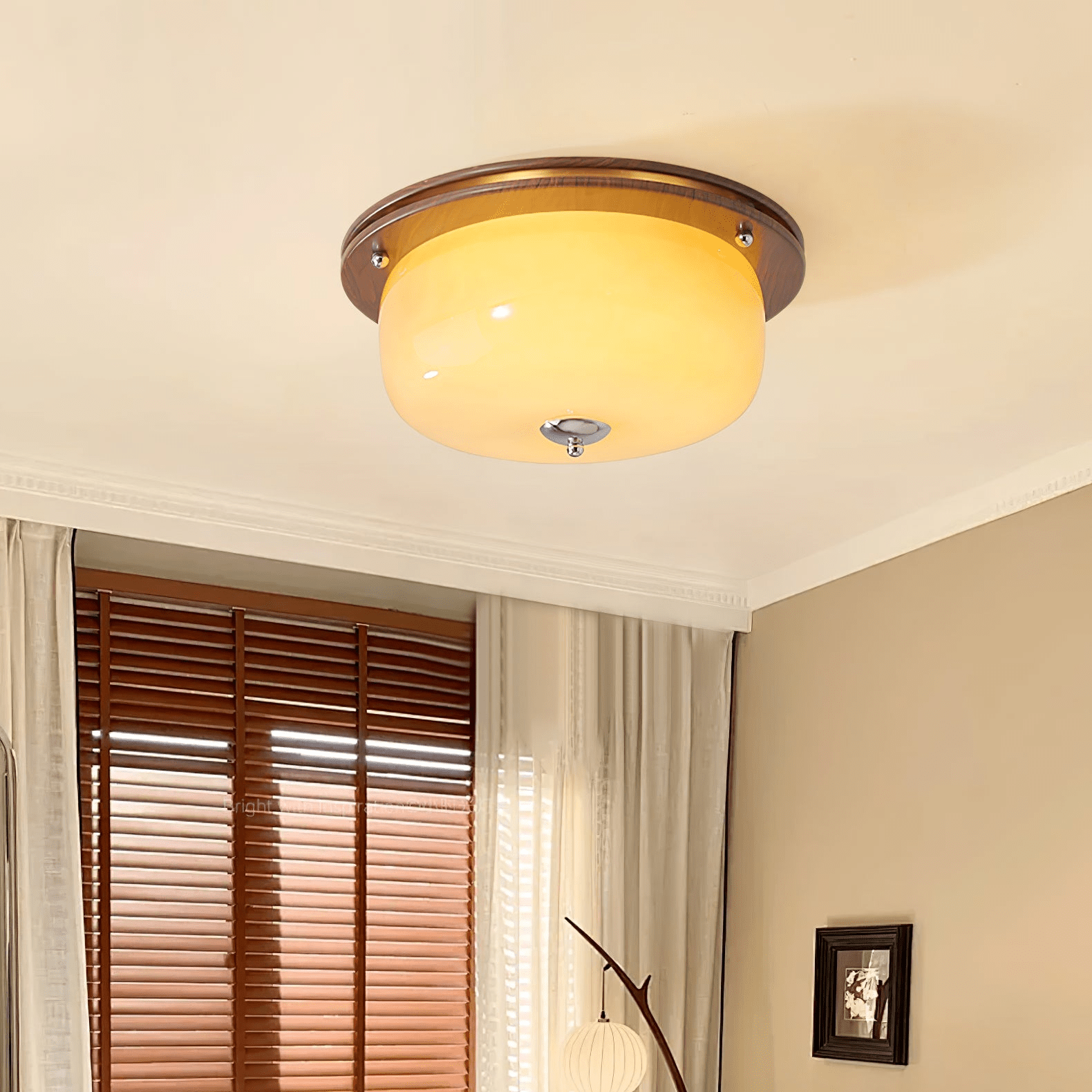 WOW Glass Dome Ceiling Light
