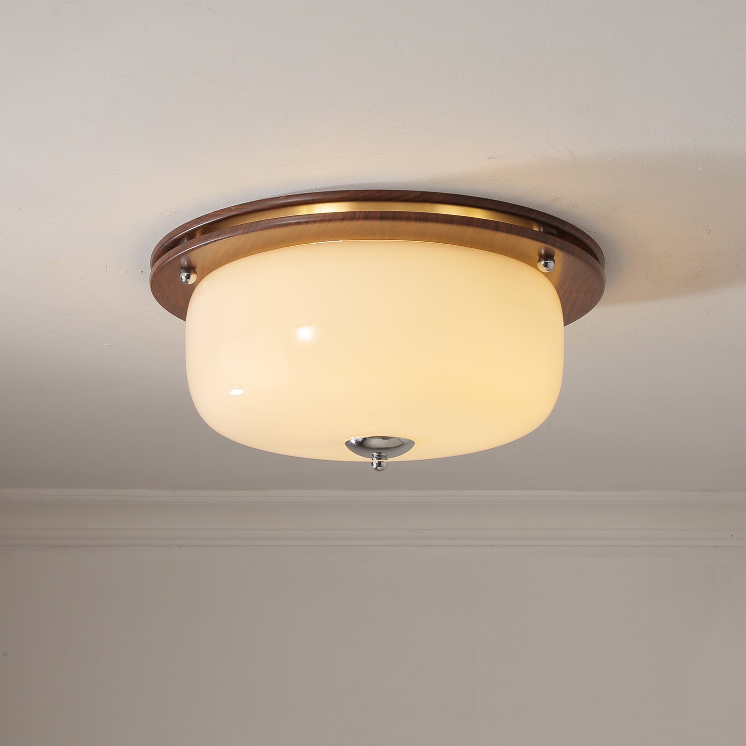 WOW Glass Dome Ceiling Light