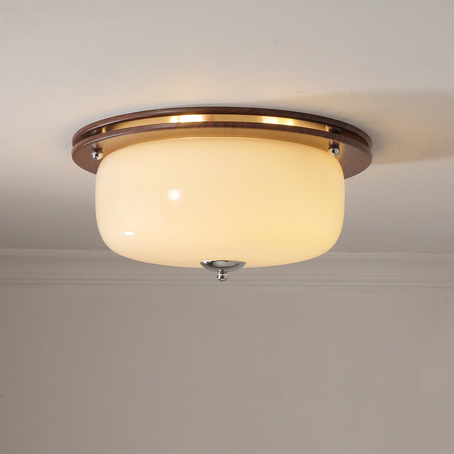 WOW Glass Dome Ceiling Light