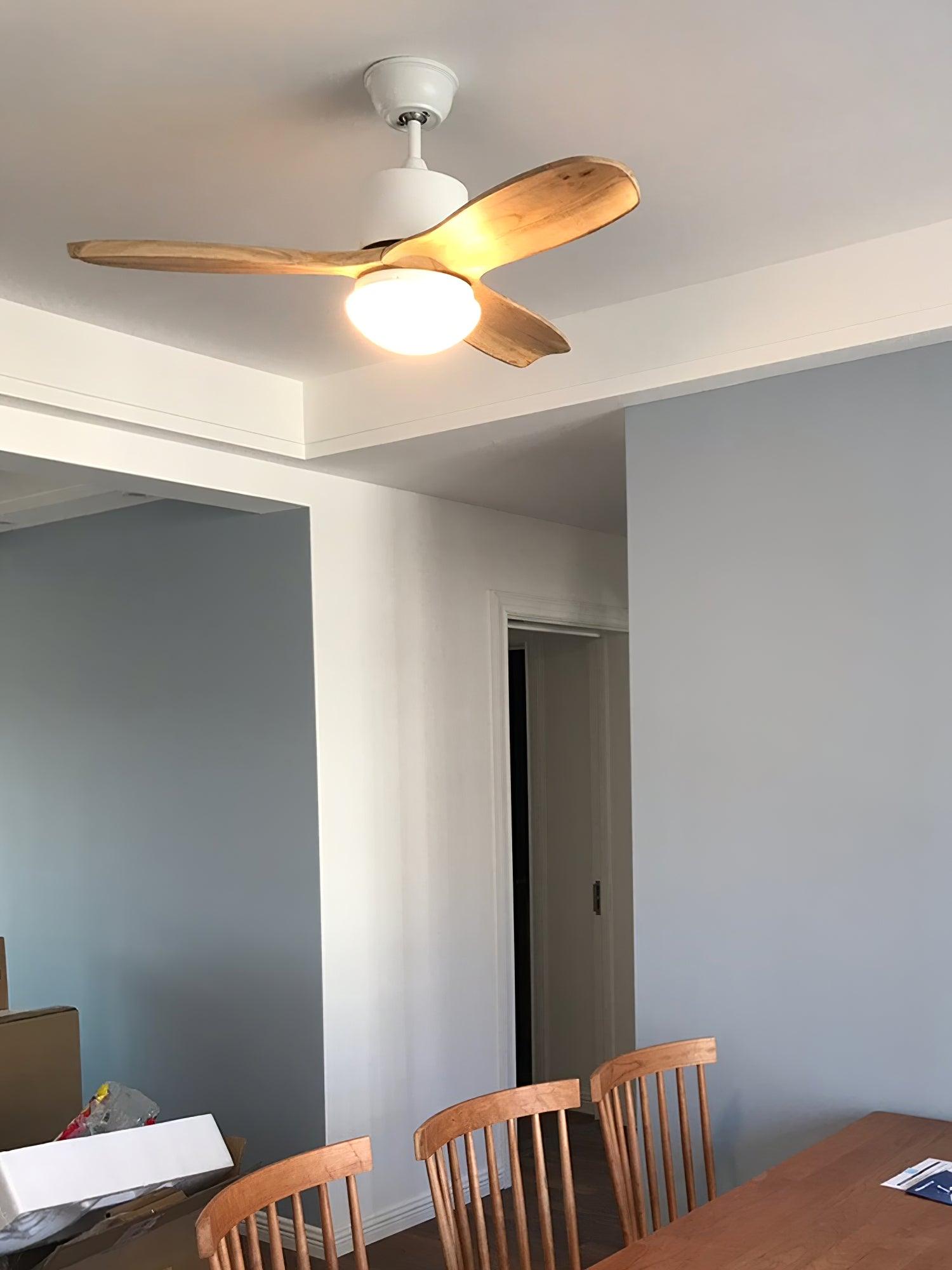 WOW Harborough 3 Ceiling Fan Light