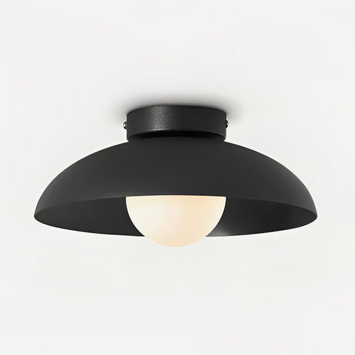 WOW Harper Glass Dome Ceiling Lamp