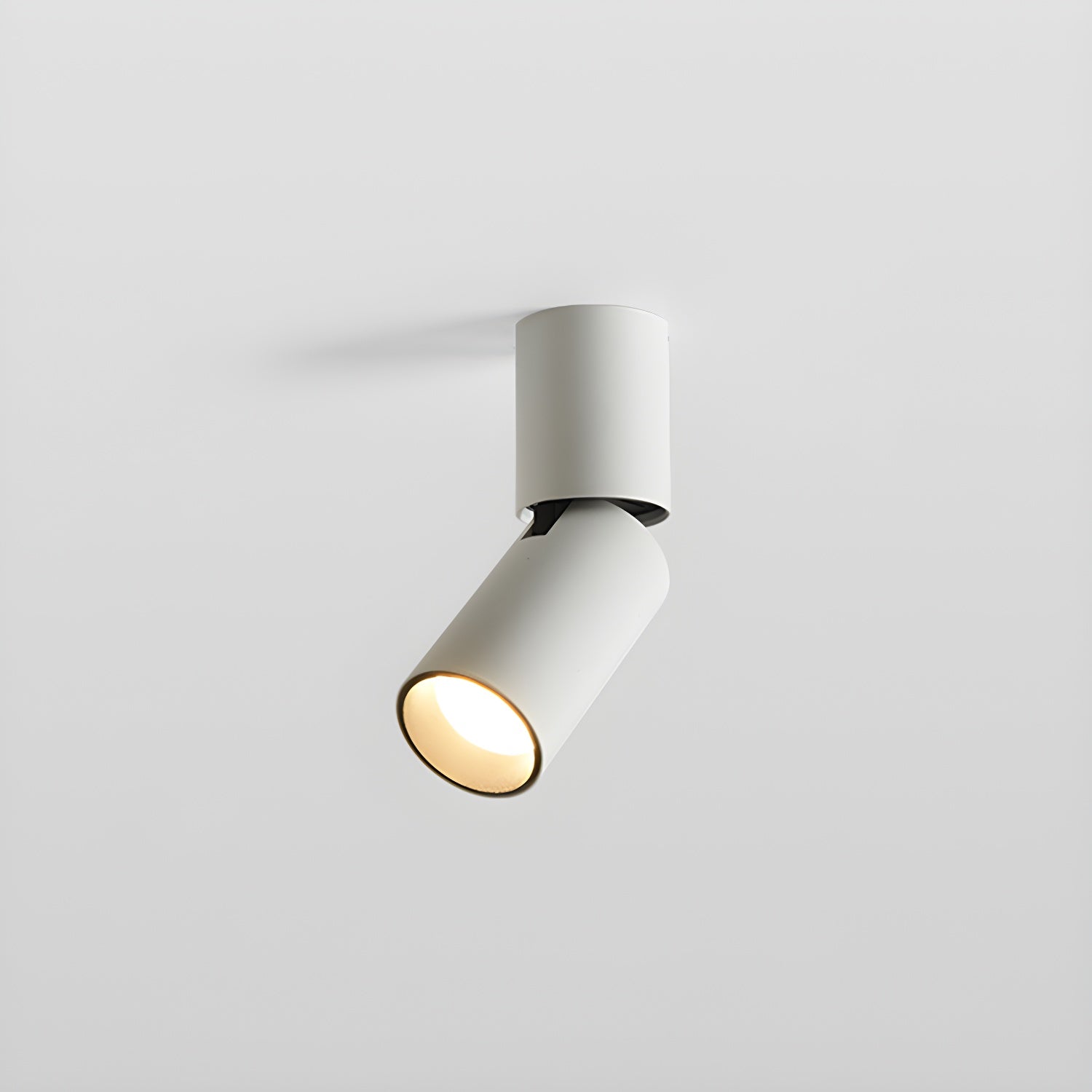 WOW Julian Adjustable Surface Downlight