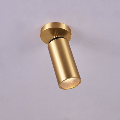 WOW Horizon Brass Spot Light