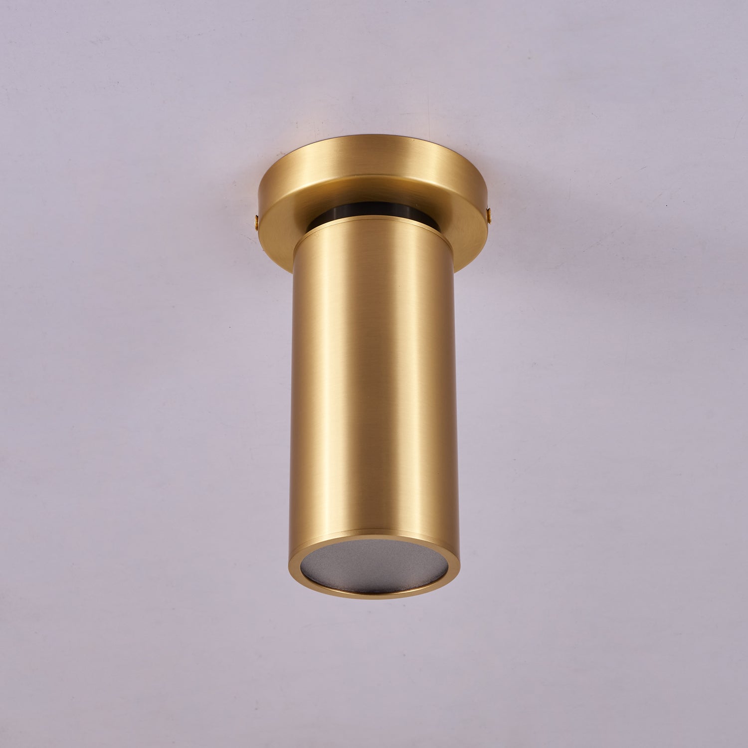 WOW Horizon Brass Spot Light
