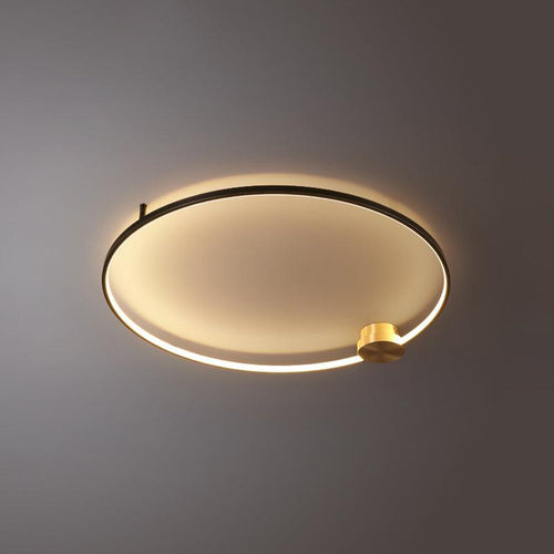WOW Loop LED Ceiling Light