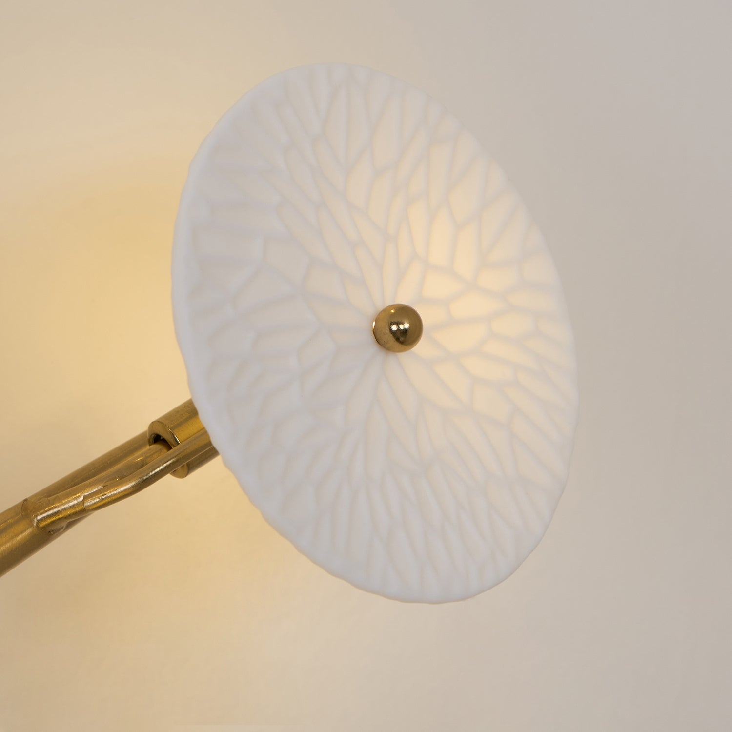 WOW Lotus Petal Wall Lamp