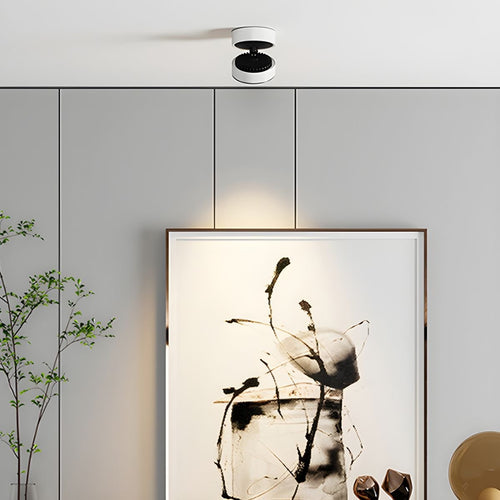 WOW Lyric Adjustable Surface Downlight