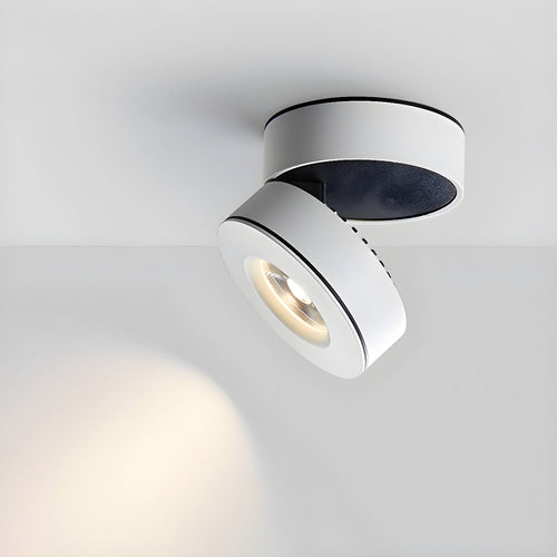 WOW Lyric Adjustable Surface Downlight