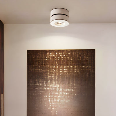 WOW Lyric Adjustable Surface Downlight