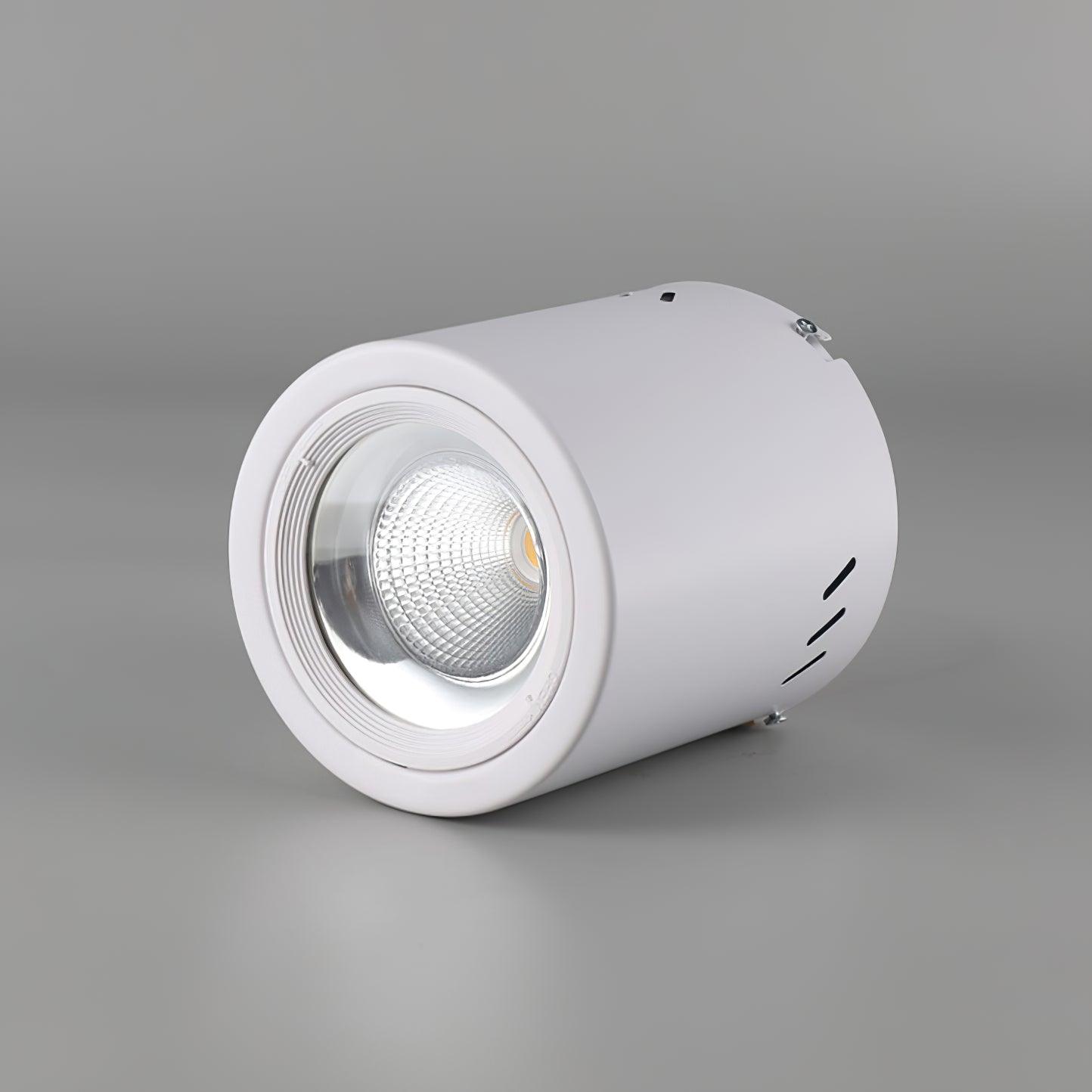 WOW Maxi Rebel Spotlight