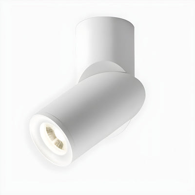 WOW Maxwell Pivot Surface Downlight