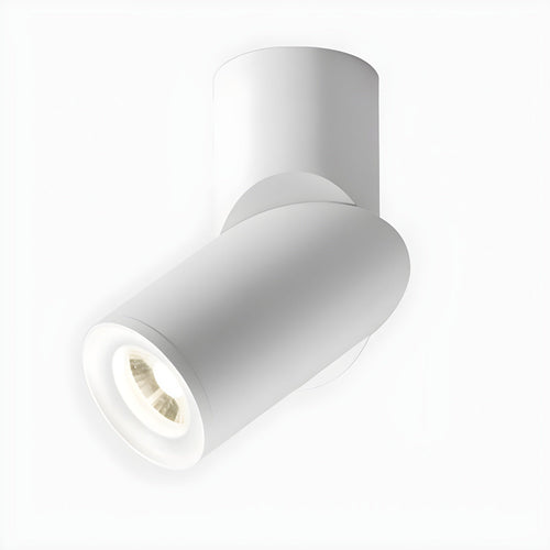 WOW Maxwell Pivot Surface Downlight