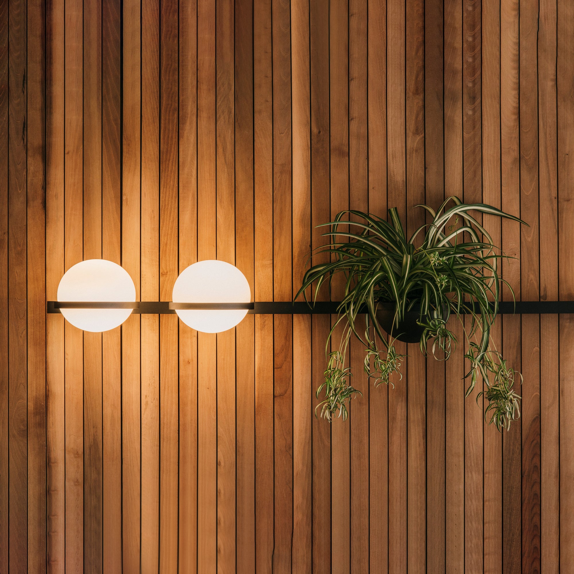WOW Solstice Outdoor Wall Light