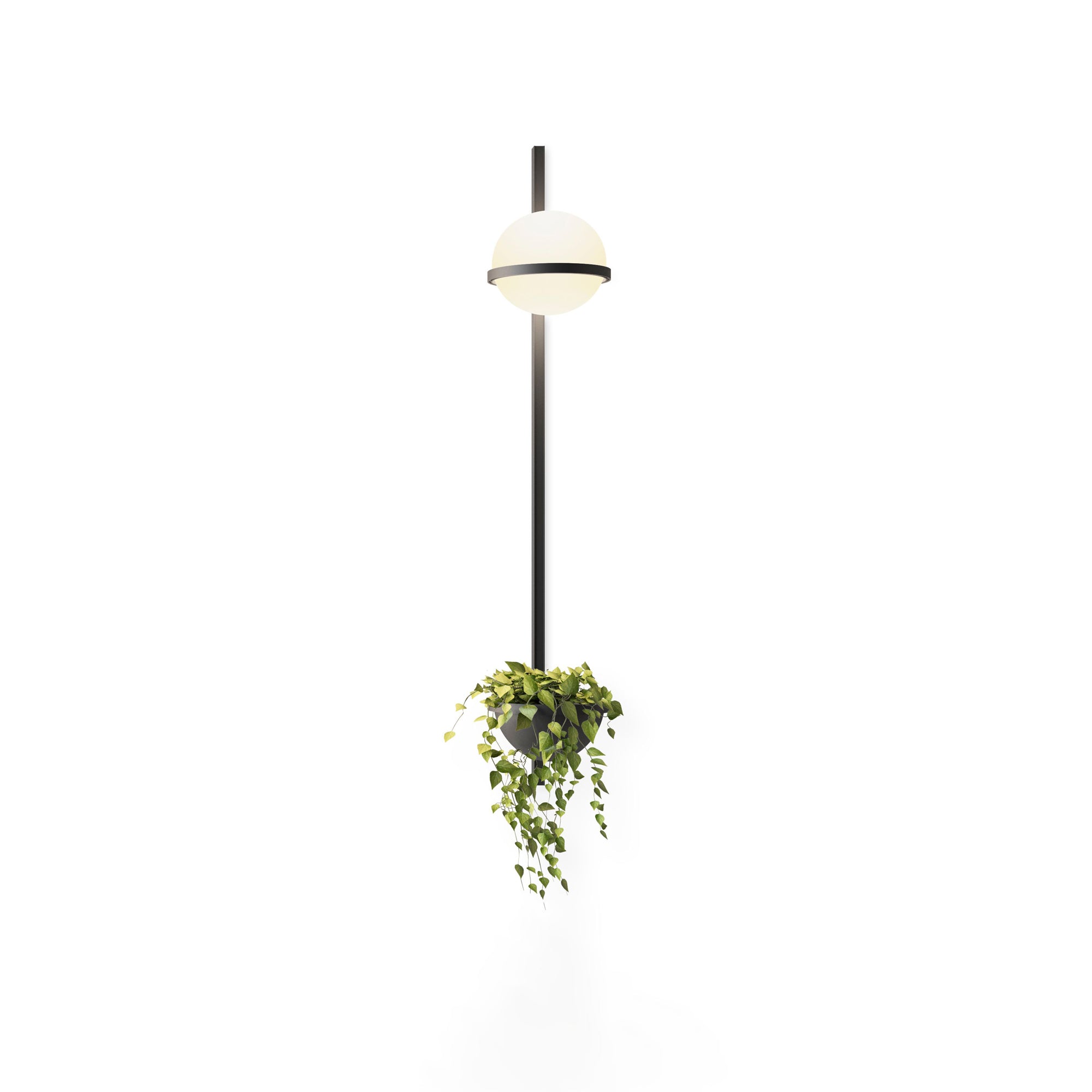 WOW Solstice Outdoor Wall Light