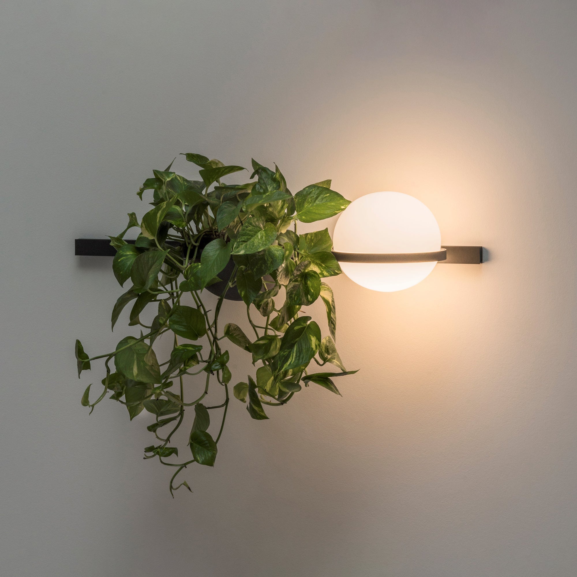 WOW Solstice Wall Light