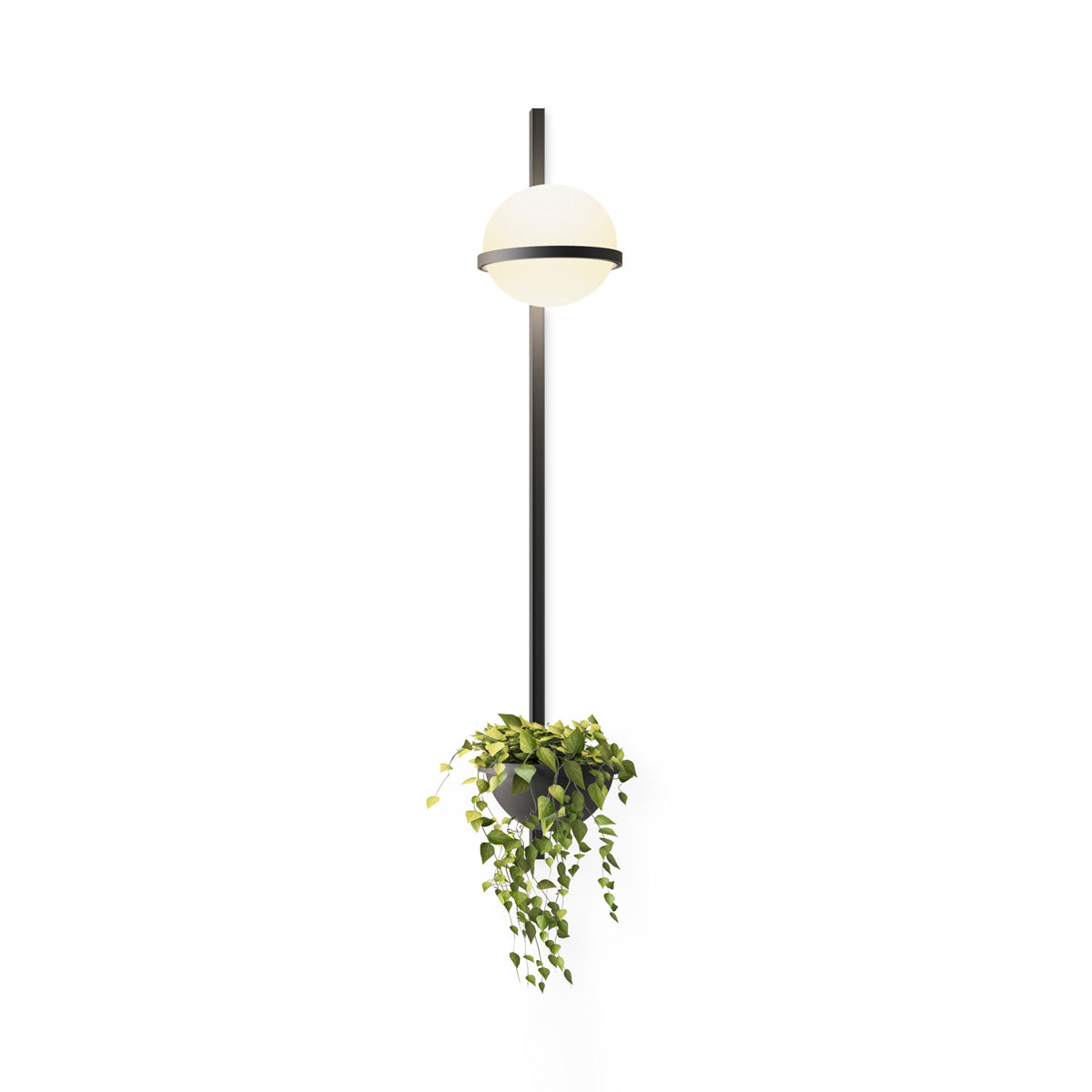 WOW Solstice Wall Light