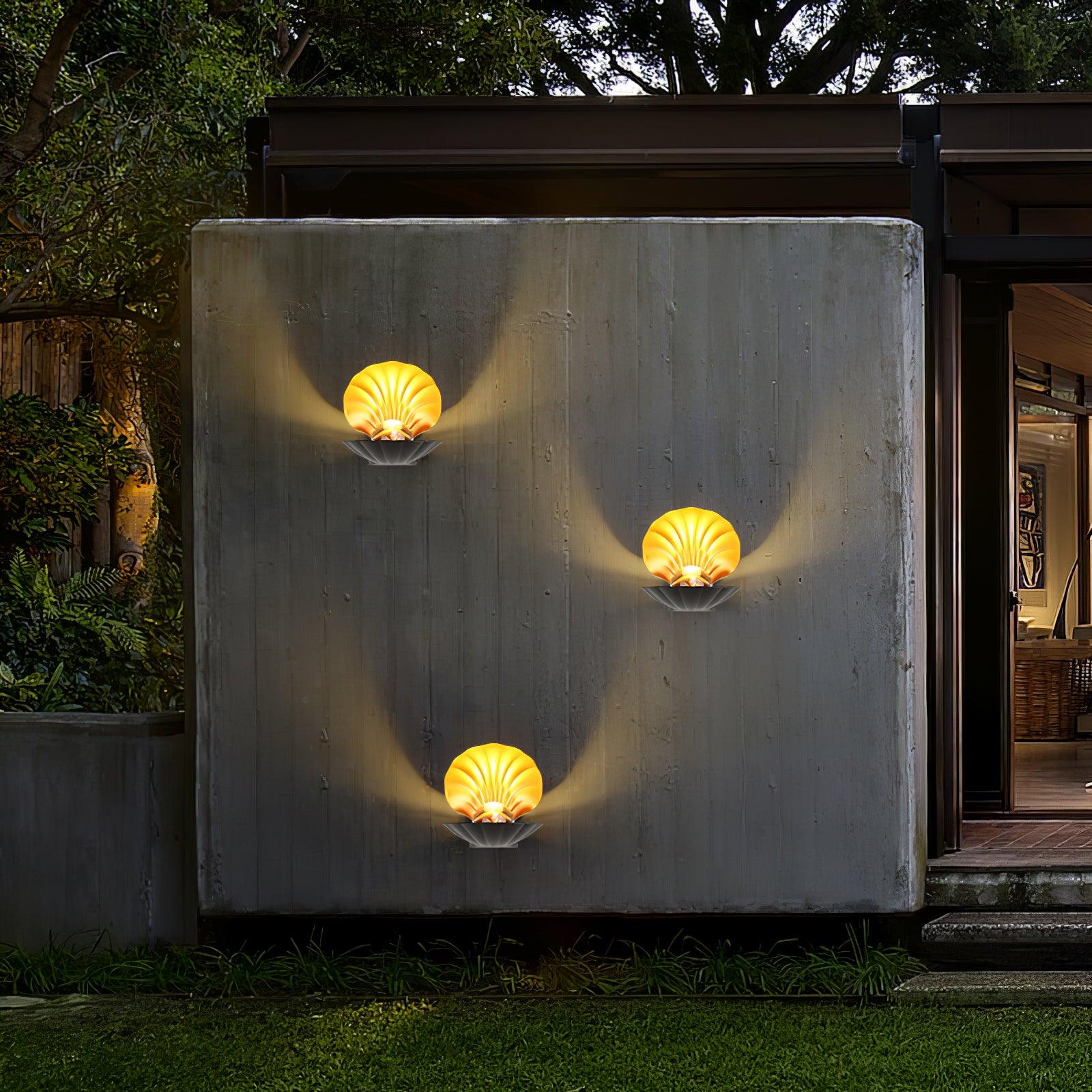WOW Pearl Clam Wall Light