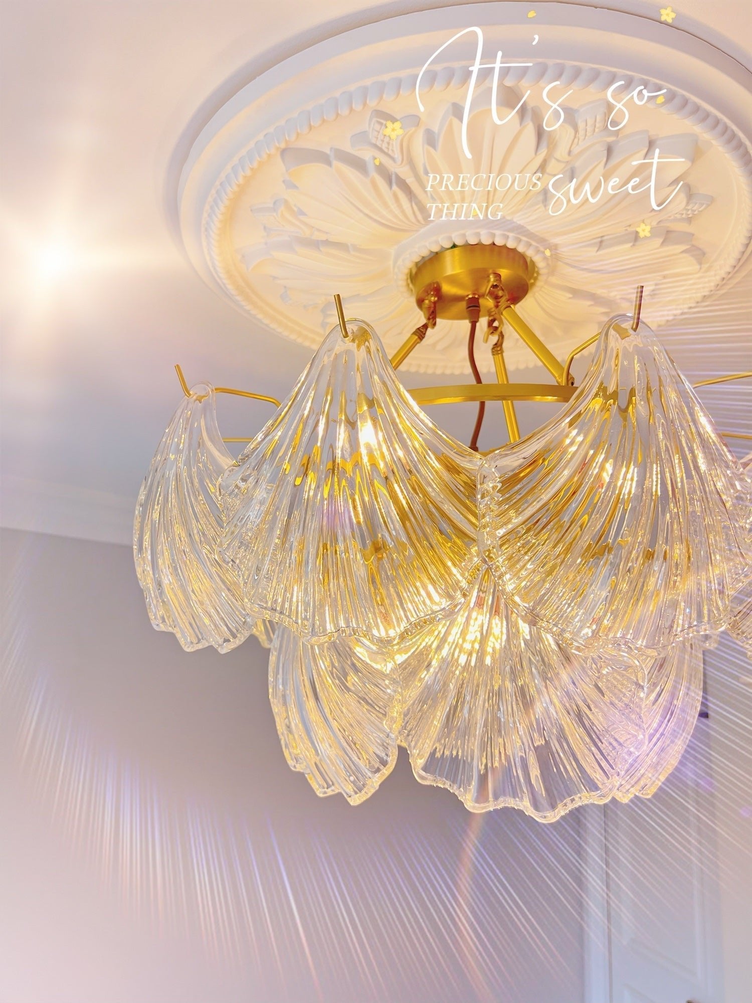 WOW Ribbed Shell Ceiling light