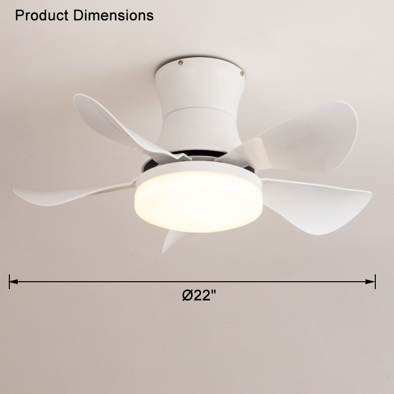 WOW Small Ceiling Fan Lamp-wow5088