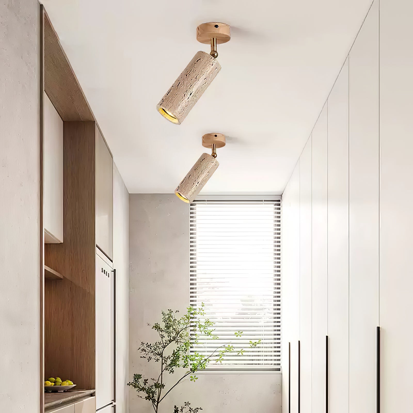 WOW Solis Stone Spotlight