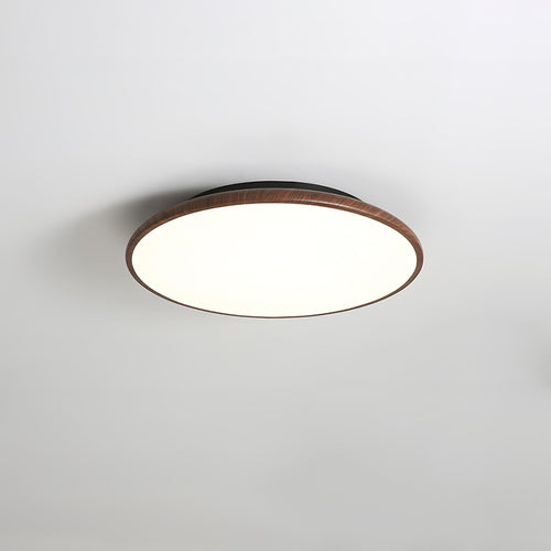 WOW Thin Geometry Shape Ceiling Lamp