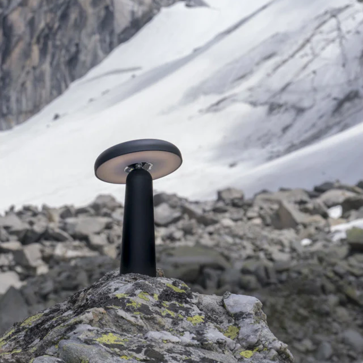LED Portable Mushroom Table Lamp